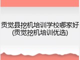贡觉县挖机培训学校哪家好(贡觉挖机培训优选)