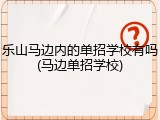 乐山马边内的单招学校有吗(马边单招学校)