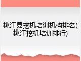 桃江县挖机培训机构排名(桃江挖机培训排行)