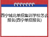 西宁城北单招集训学校怎么报名(西宁单招报名)