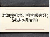 洪湖挖机培训机构哪家好(洪湖挖机培训)