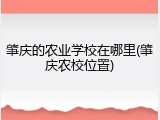 肇庆的农业学校在哪里(肇庆农校位置)