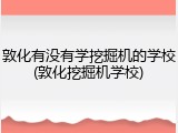 敦化有没有学挖掘机的学校(敦化挖掘机学校)