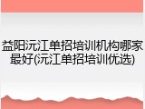 益阳沅江单招培训机构哪家最好(沅江单招培训优选)