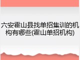 六安霍山县找单招集训的机构有哪些(霍山单招机构)