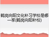 鹤岗向阳文化补习学校是哪一家(鹤岗向阳补校)