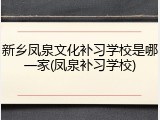 新乡凤泉文化补习学校是哪一家(凤泉补习学校)