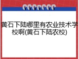黄石下陆哪里有农业技术学校啊(黄石下陆农校)