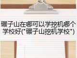 碾子山在哪可以学挖机哪个学校好("碾子山挖机学校")