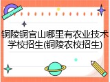 铜陵铜官山哪里有农业技术学校招生(铜陵农校招生)