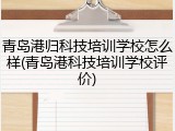 青岛港归科技培训学校怎么样(青岛港科技培训学校评价)