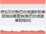 呼伦贝尔陈巴尔虎旗好的单招培训哪里有(陈巴尔虎旗单招培训)