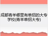 成都青羊哪里有单招的大专学校(青羊单招大专)