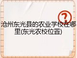 沧州东光县的农业学校在哪里(东光农校位置)