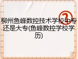 柳州鱼峰数控技术学校中专还是大专(鱼峰数控学校学历)