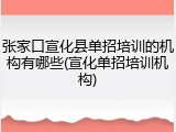 张家口宣化县单招培训的机构有哪些(宣化单招培训机构)