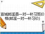 宣城郎溪县一对一补习班价格(郎溪一对一补习价)