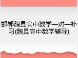 邯郸魏县高中数学一对一补习(魏县高中数学辅导)