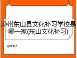 漳州东山县文化补习学校是哪一家(东山文化补习)