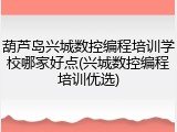 葫芦岛兴城数控编程培训学校哪家好点(兴城数控编程培训优选)