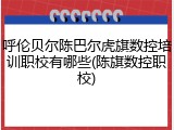 呼伦贝尔陈巴尔虎旗数控培训职校有哪些(陈旗数控职校)