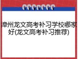 漳州龙文高考补习学校哪家好(龙文高考补习推荐)
