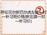 呼伦贝尔新巴尔虎左旗一对一补习班价格(新左旗一对一补习价)