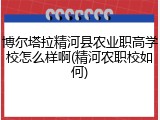 博尔塔拉精河县农业职高学校怎么样啊(精河农职校如何)