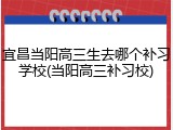 宜昌当阳高三生去哪个补习学校(当阳高三补习校)