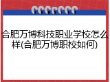 合肥万博科技职业学校怎么样(合肥万博职校如何)