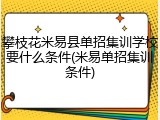 攀枝花米易县单招集训学校要什么条件(米易单招集训条件)