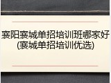 襄阳襄城单招培训班哪家好(襄城单招培训优选)