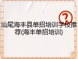 汕尾海丰县单招培训学校推荐(海丰单招培训)