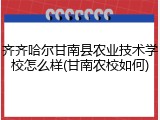 齐齐哈尔甘南县农业技术学校怎么样(甘南农校如何)