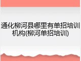 通化柳河县哪里有单招培训机构(柳河单招培训)