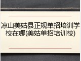 凉山美姑县正规单招培训学校在哪(美姑单招培训校)