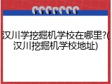 汉川学挖掘机学校在哪里?(汉川挖掘机学校地址)