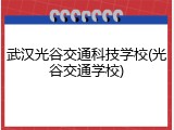 武汉光谷交通科技学校(光谷交通学校)