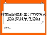 丹东凤城单招集训学校怎么报名(凤城单招报名)