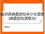 哈尔滨宾县农校多少分录取(宾县农校录取分)