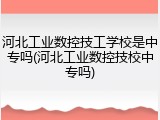河北工业数控技工学校是中专吗(河北工业数控技校中专吗)