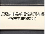 辽源东丰县单招培训班有哪些(东丰单招培训)