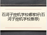 石河子挖机学校哪家好(石河子挖机学校推荐)