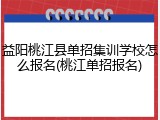 益阳桃江县单招集训学校怎么报名(桃江单招报名)