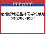 泉州鲤城精品补习学校地址(鲤城补习校址)