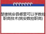 楚雄姚安县哪里可以学数控职高技术(姚安数控职高)