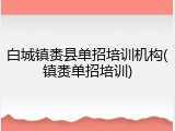 白城镇赉县单招培训机构(镇赉单招培训)