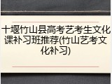 十堰竹山县高考艺考生文化课补习班推荐(竹山艺考文化补习)