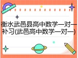 衡水武邑县高中数学一对一补习(武邑高中数学一对一)