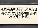 咸阳武功县农业技术学校简介及录取分数线(咸阳武校简介及分数线)